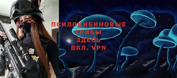 ПСИЛОЦИБИНОВЫЕ ГРИБЫ Арсеньев