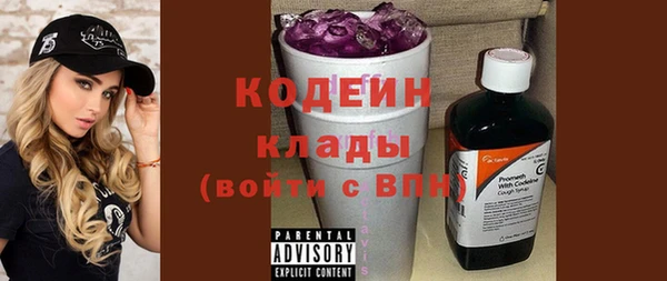 ПСИЛОЦИБИНОВЫЕ ГРИБЫ Арсеньев