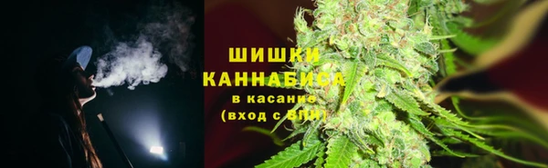 шишки Армянск