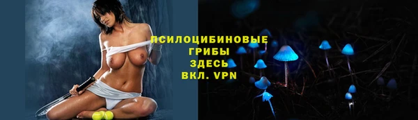 спайс Аркадак