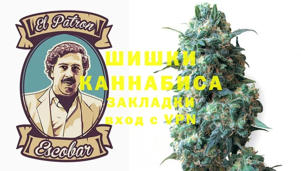 шишки Армянск