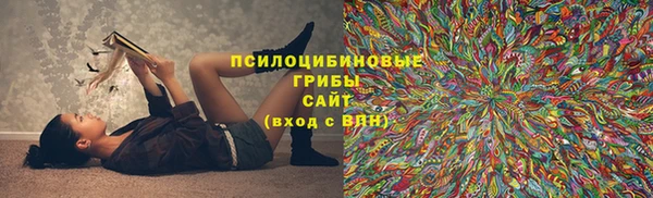 не бодяженный Дмитровск
