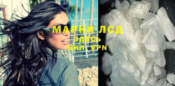 ПСИЛОЦИБИНОВЫЕ ГРИБЫ Арсеньев