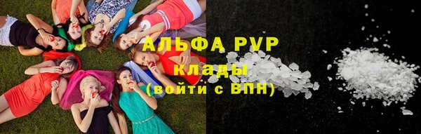 ПСИЛОЦИБИНОВЫЕ ГРИБЫ Арсеньев