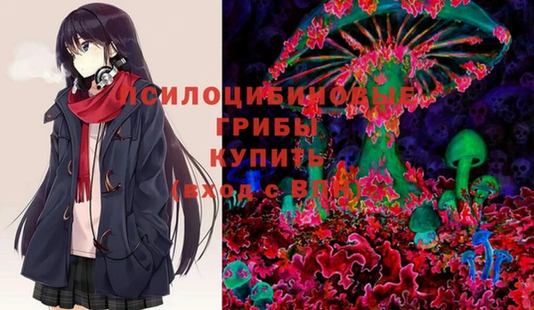 шишки Армянск