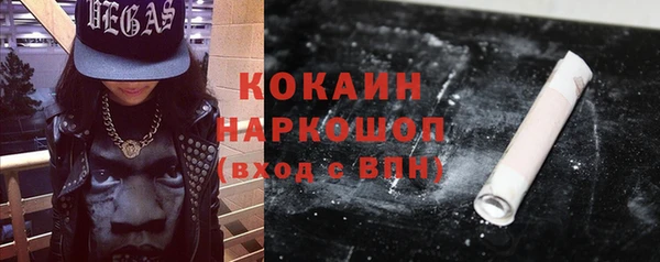 ПСИЛОЦИБИНОВЫЕ ГРИБЫ Арсеньев