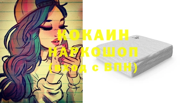 прущий лед Дмитриев