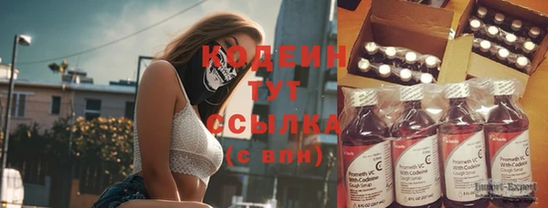 ПСИЛОЦИБИНОВЫЕ ГРИБЫ Арсеньев